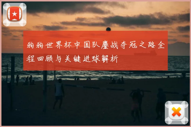 狗狗世界杯中国队鏖战夺冠之路全程回顾与关键进球解析