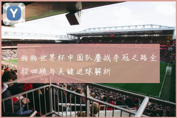 狗狗世界杯中国队鏖战夺冠之路全程回顾与关键进球解析