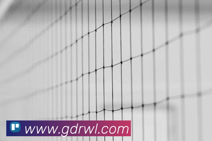 App Interface Preview